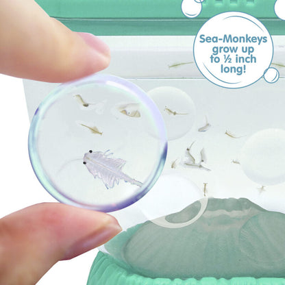 Sea-Monkeys Ocean Volcano - US 6869